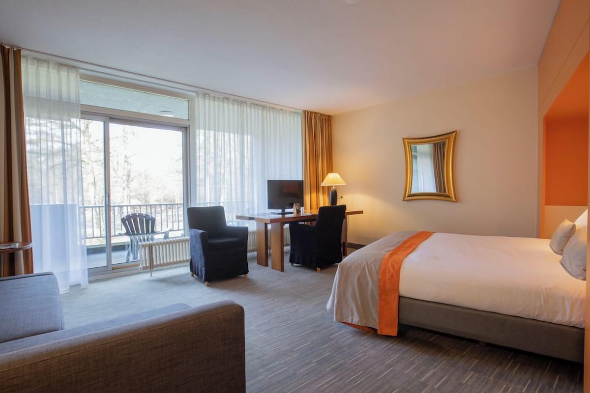 Habitación de hotel con cama, escritorio, silla, televisor y balcón con una silla.
