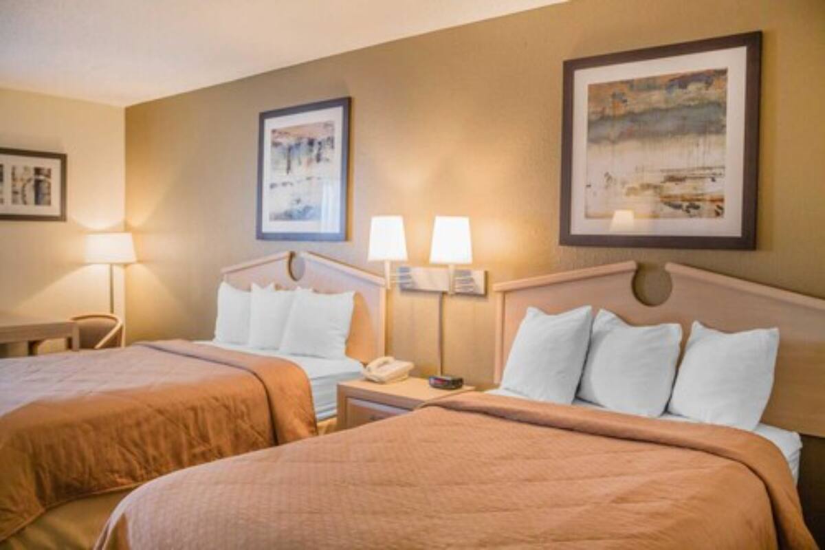 Une chambre d’hôtel avec deux lits, une table de chevet avec une lampe et des œuvres d’art encadrées accrochées aux murs.