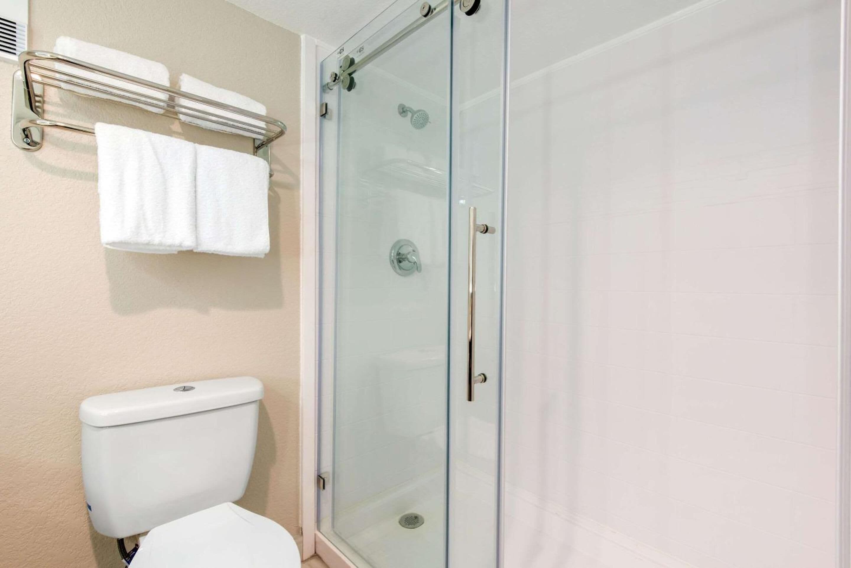 A bathroom with a glass-enclosed shower, a white toilet, and a towel rack with two towels.
