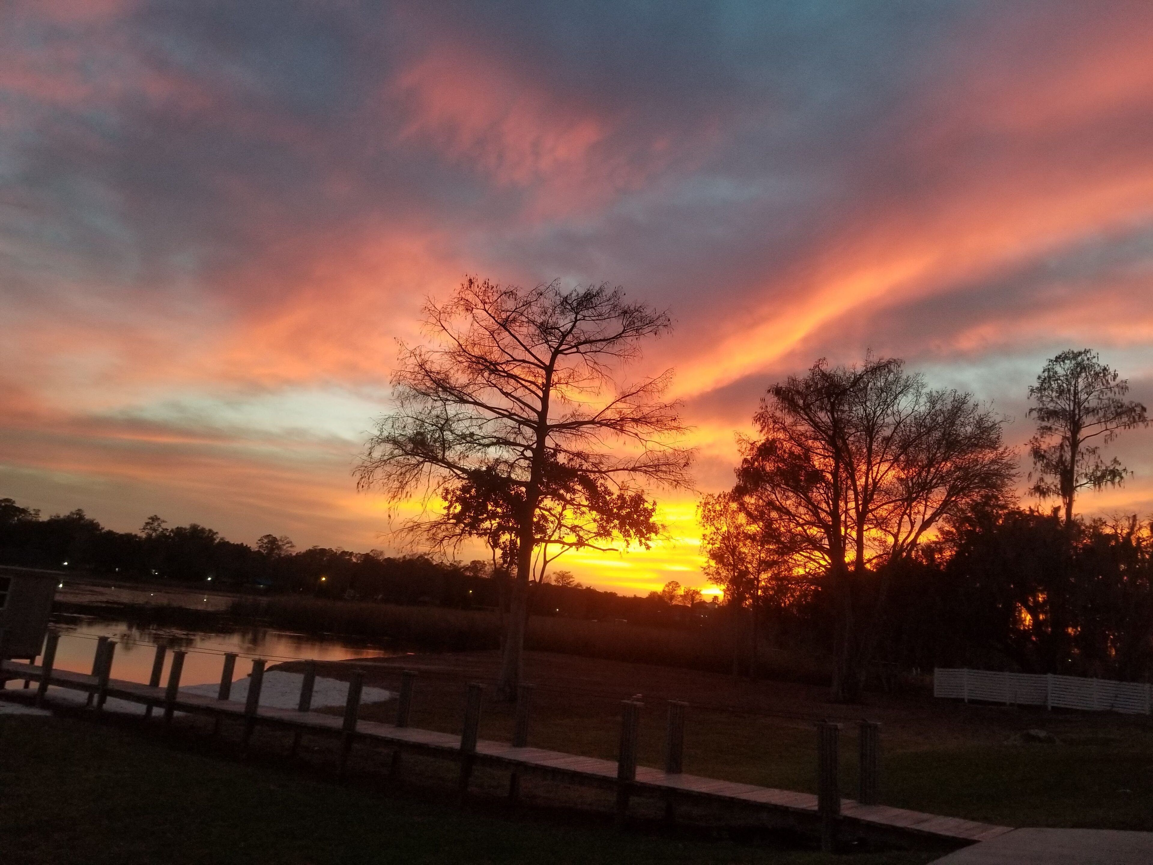 Un atardecer sobre un parque con árboles y un sendero.
