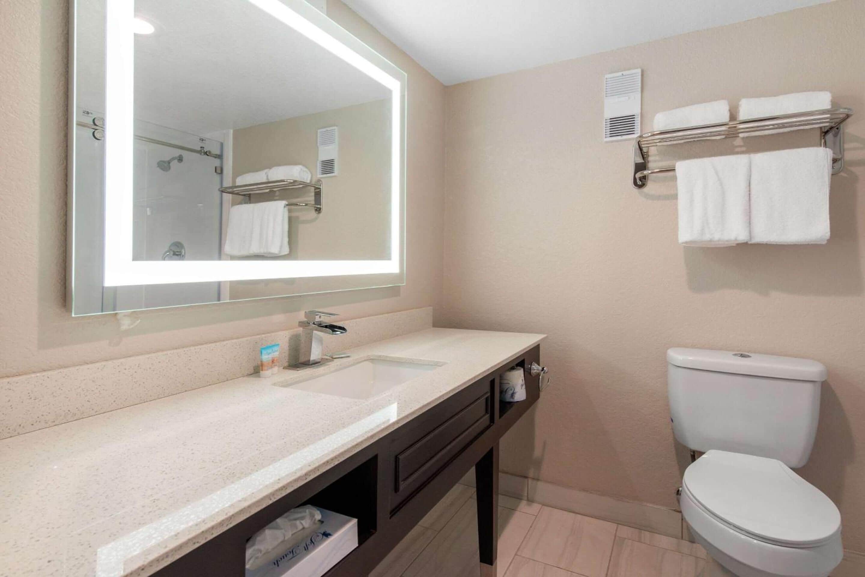 Een moderne badkamer met een grote spiegel, een wastafel, toilet en een handdoekhouder.