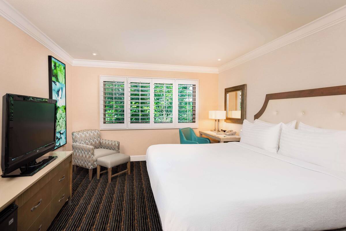A hotel room with a large bed, a television, a desk with a lamp, a chair, and a window with blinds.