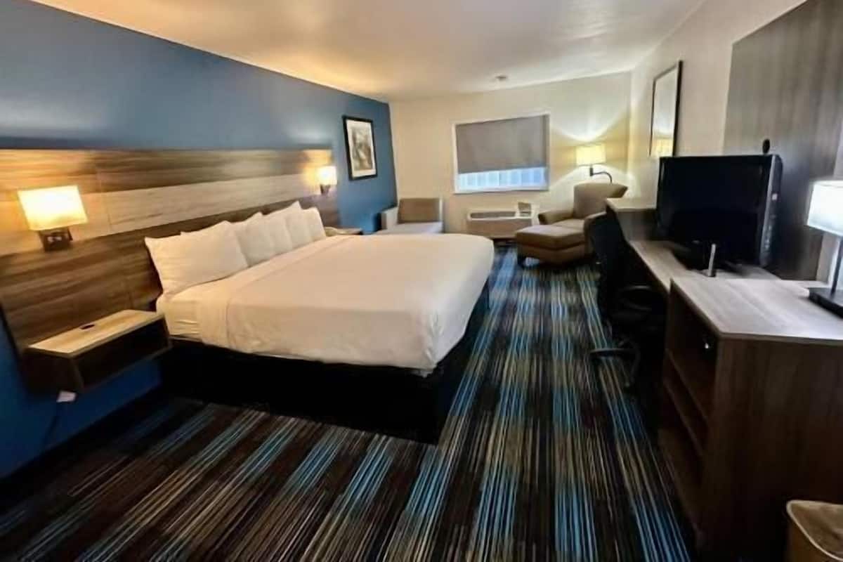 Premium bedding, desk, iron/ironing board, free WiFi