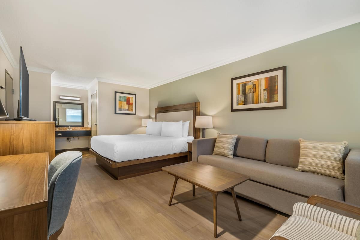 Standard Room, 1 King Bed, Non Smoking, Refrigerator (with Sofabed) | In-room safe, desk, laptop workspace, blackout drapes