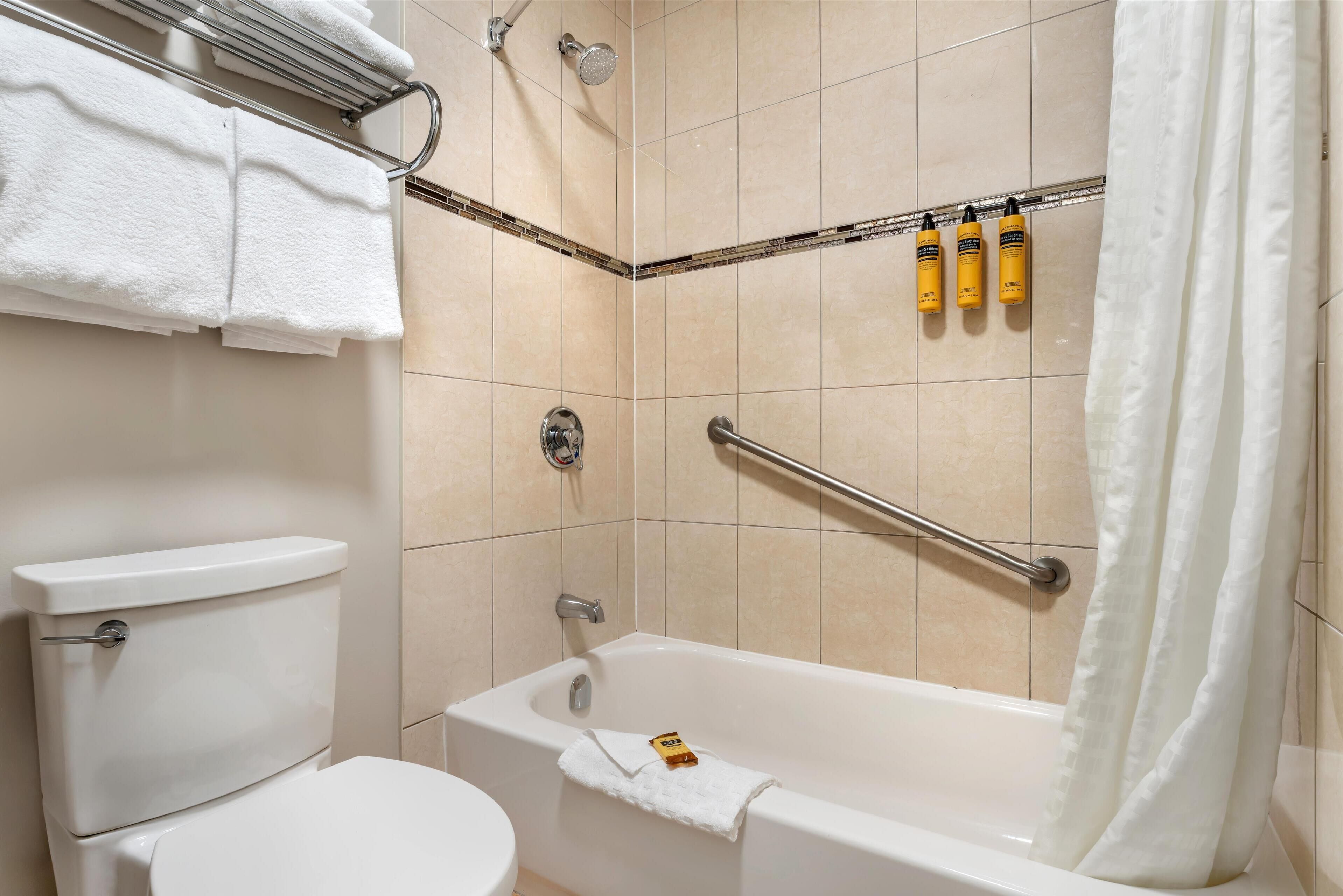 Ein Badezimmer mit Toilette, Badewanne, Dusche und Handläufen.