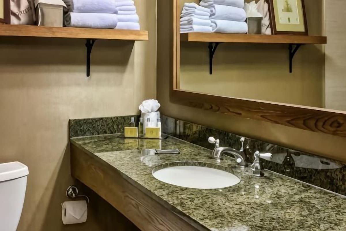 Bathroom | Shower, free toiletries, hair dryer, towels