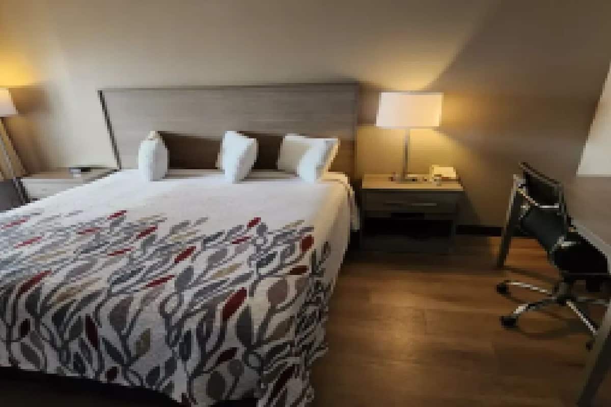 Quarto de hotel com uma cama, duas mesas de cabeceira, uma escrivaninha e uma cadeira.