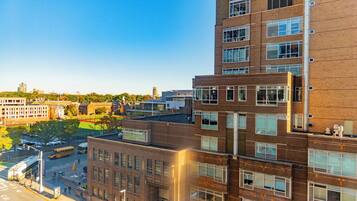 Vista desde la habitación