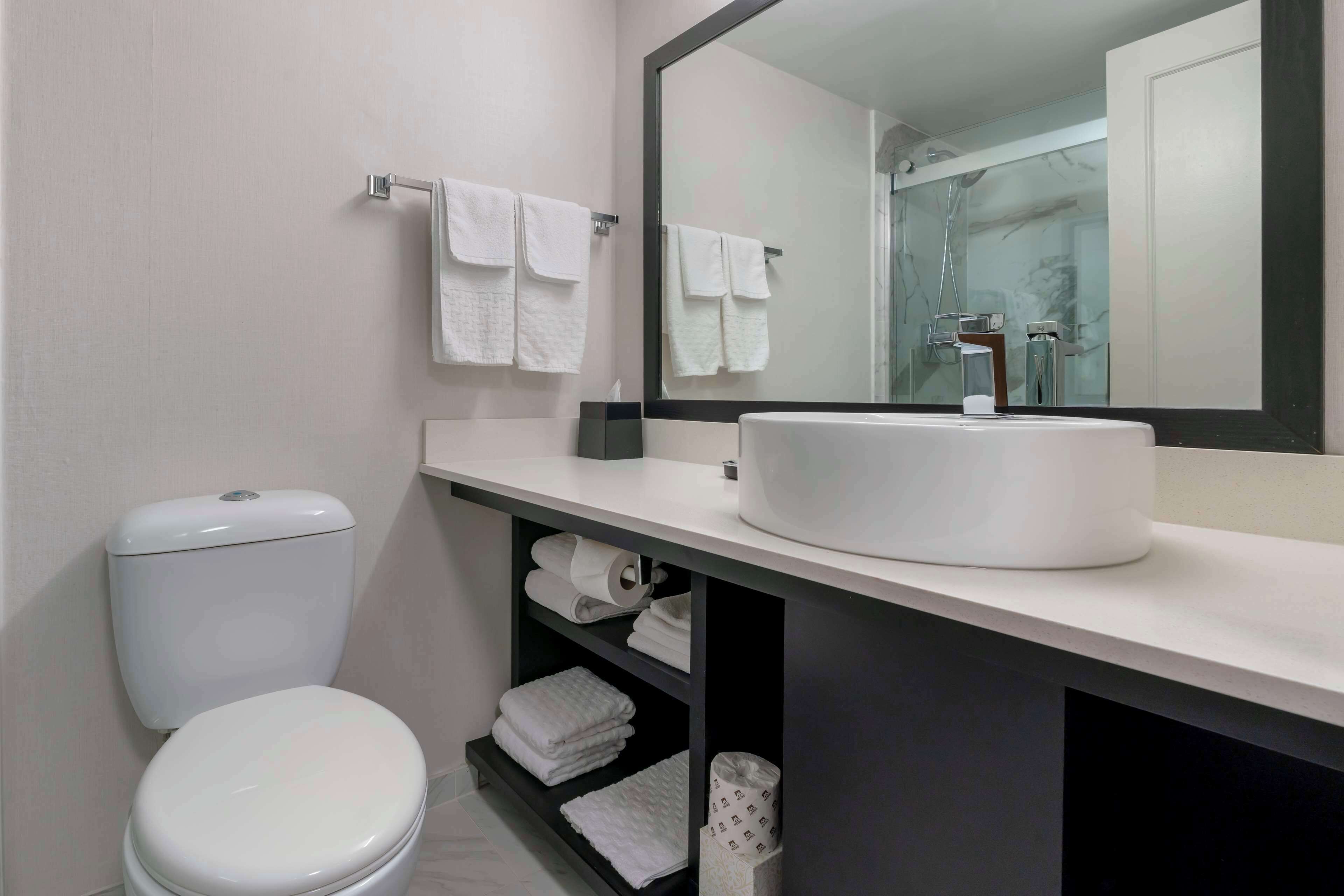 hydromassage showerhead, eco-friendly toiletries, hair dryer, towels