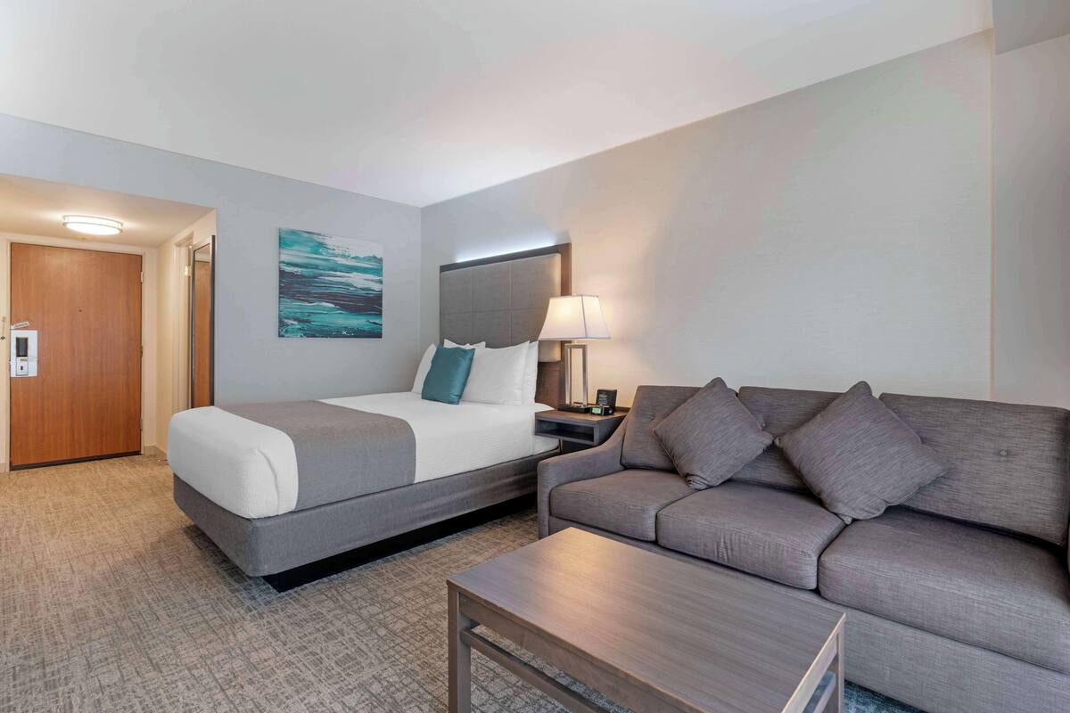 Una habitación de hotel con una cama, un sofá, una mesita de noche con lámpara y un cuadro en la pared.