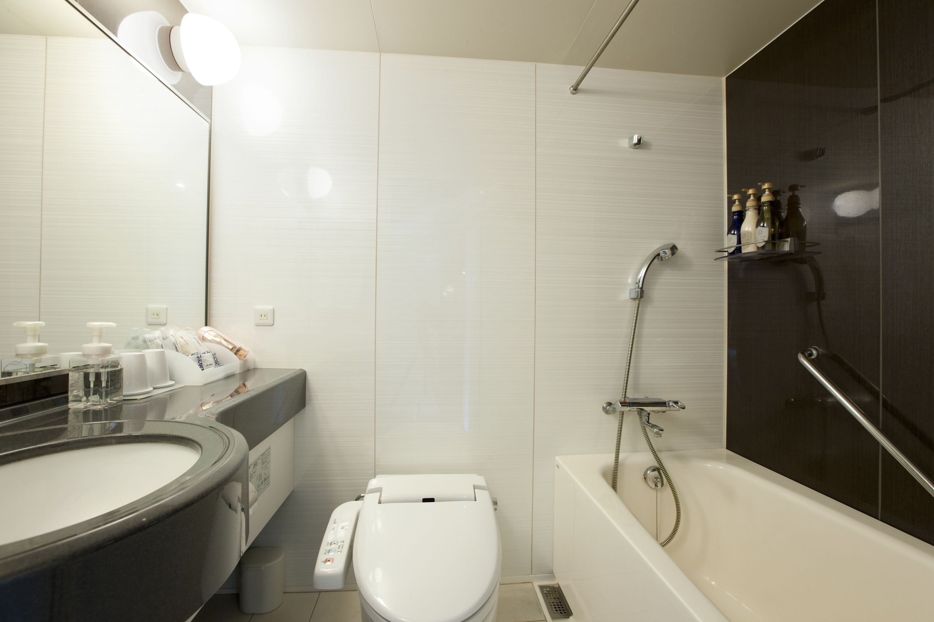 combined shower/bathtub, free toiletries, hair dryer, slippers