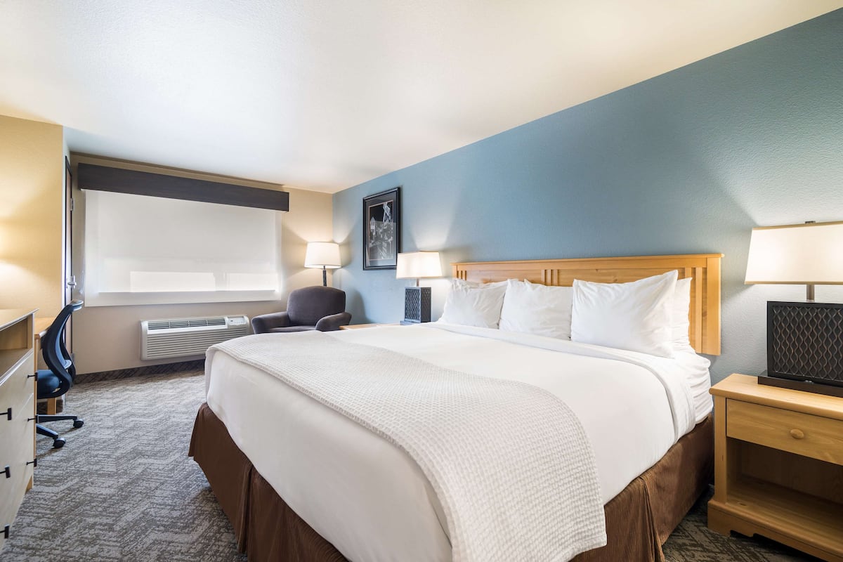 Une chambre d’hôtel avec un grand lit, deux tables de chevet, un bureau, une chaise, une fenêtre et un téléviseur fixé au mur.