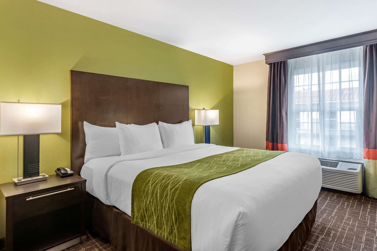 Habitación estándar, 1 cama King size y sofá cama, para no fumadores | Ropa de cama de alta calidad y camas con pillow-top