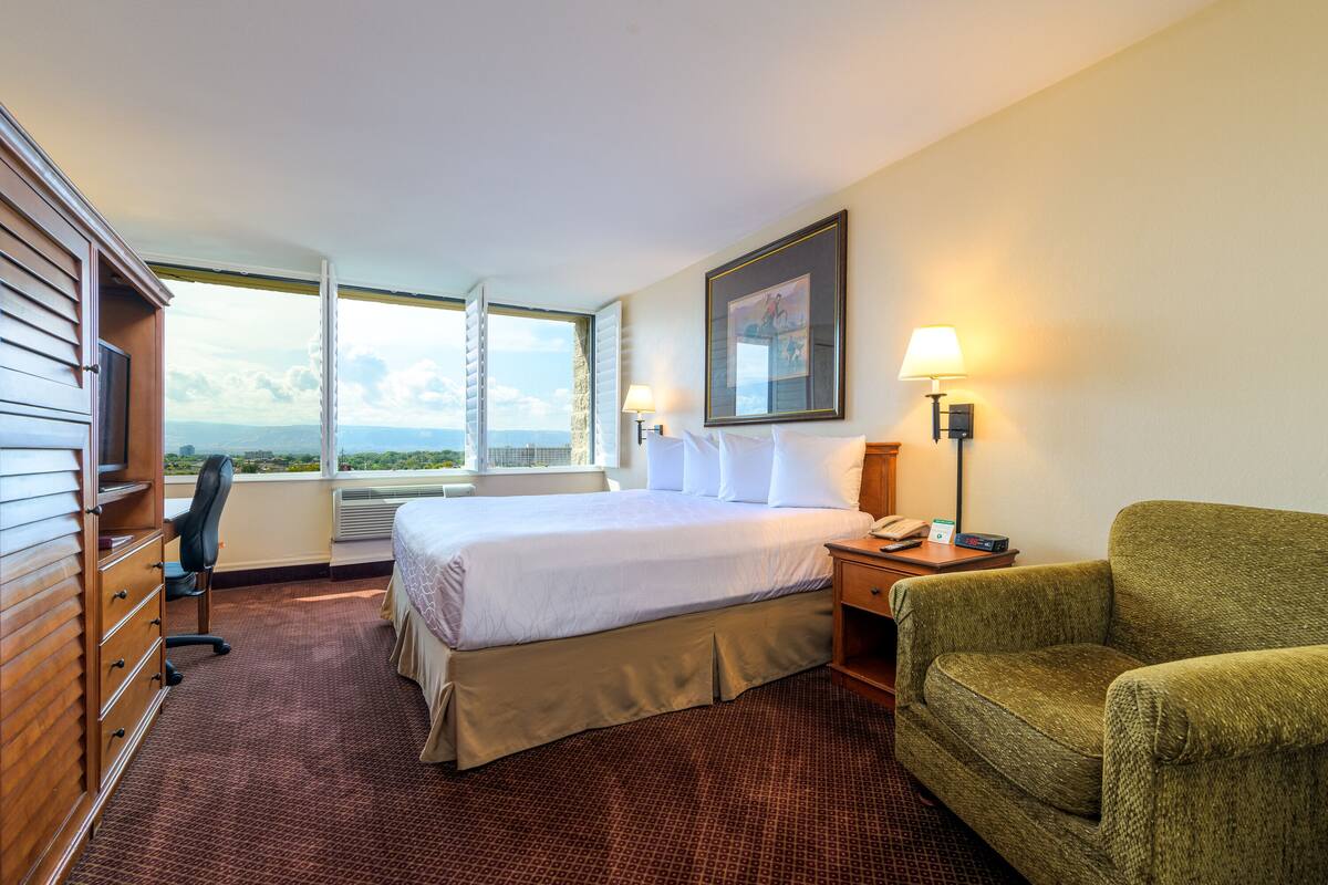A hotel room with a large bed, a desk, a chair, a lamp, and a view of the outdoors.