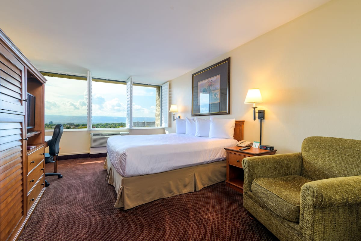 standard room, 1 king bed | view from room