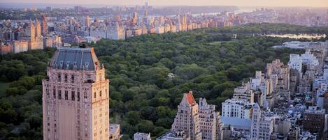 Pemandangan dari udara