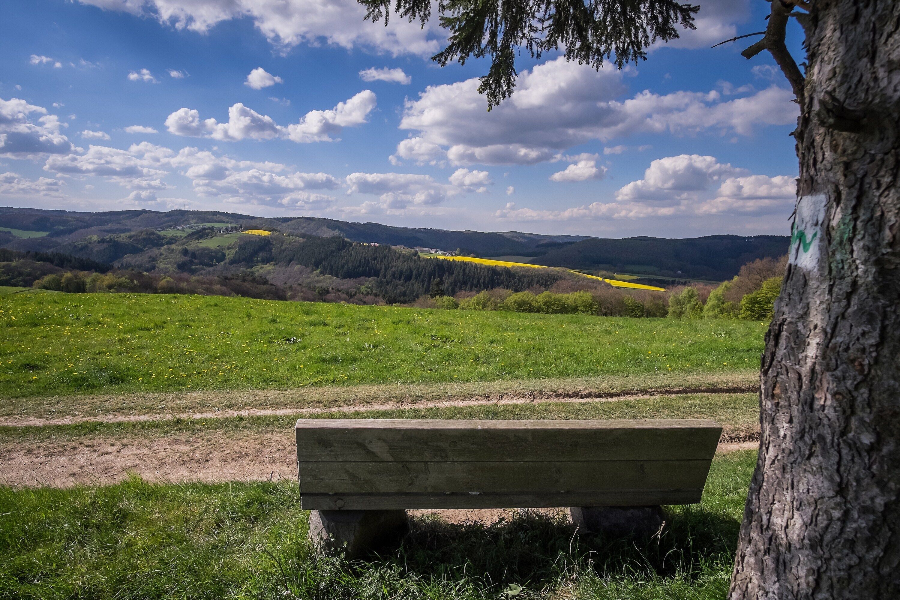 Eine Bank in einem grünen Feld mit Blick auf ein gelbes Feld und ferne Hügel.