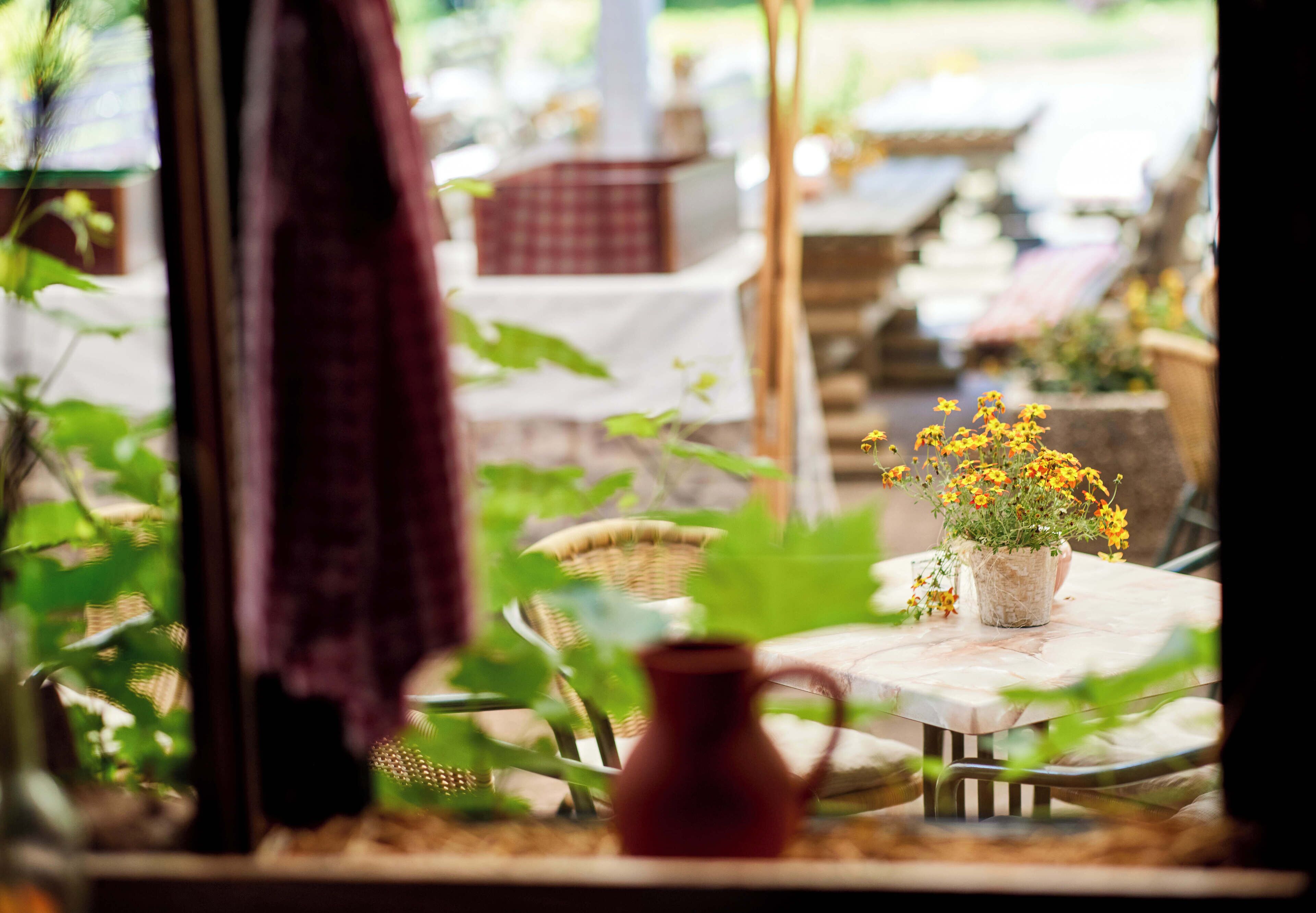 A table with a potted plant and a red pitcher.