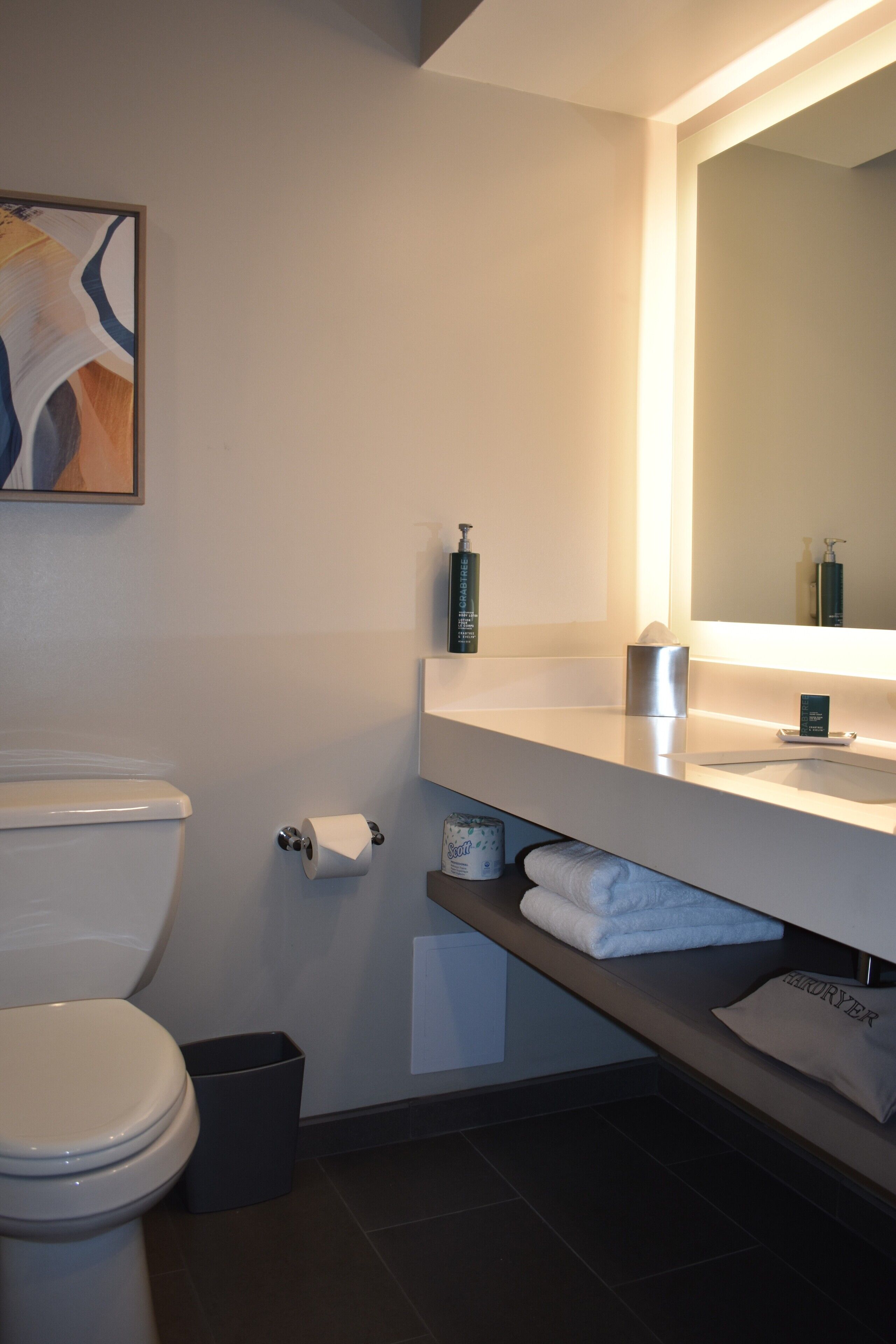 Une salle de bain moderne avec des toilettes, un lavabo et un miroir.