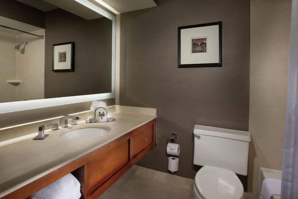 Combined shower/tub, free toiletries, hair dryer, towels