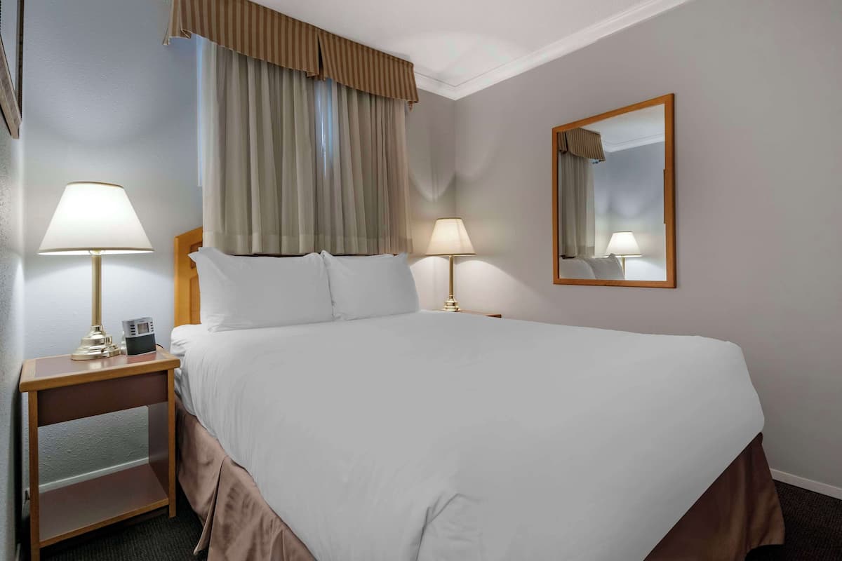Chambre Standard, 1 grand lit, non-fumeurs, réfrigérateur et four à micro-ondes | Rideaux occultants, fer et planche à repasser, Wi-Fi gratuit
