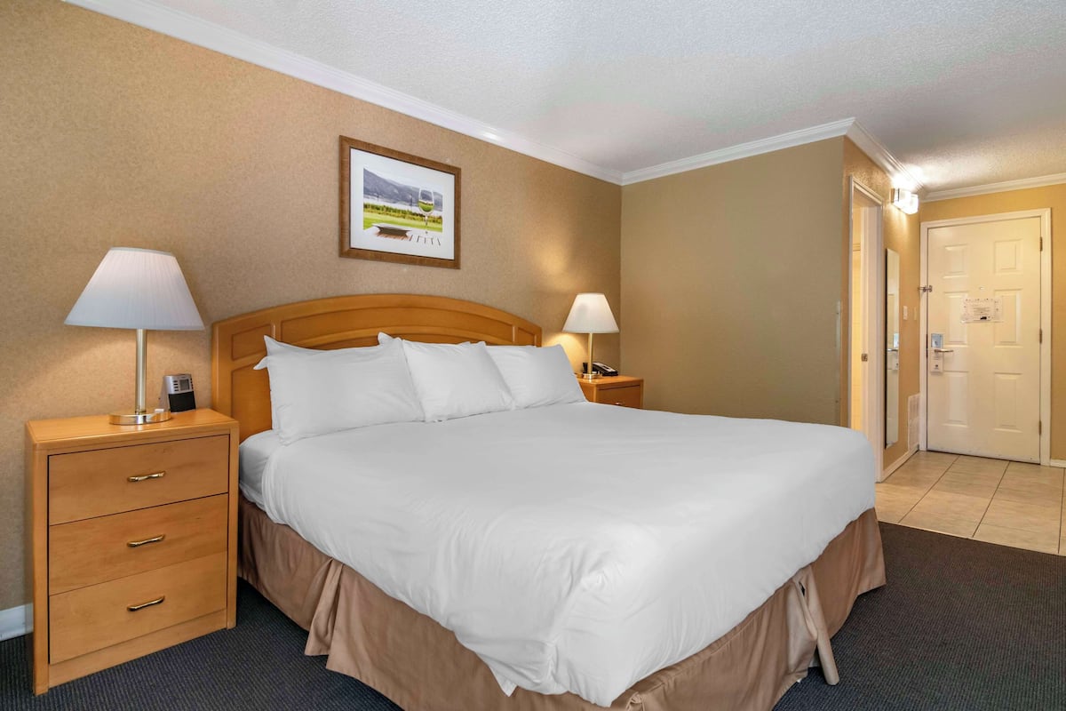 1 bedroom, blackout curtains, iron/ironing board, free WiFi