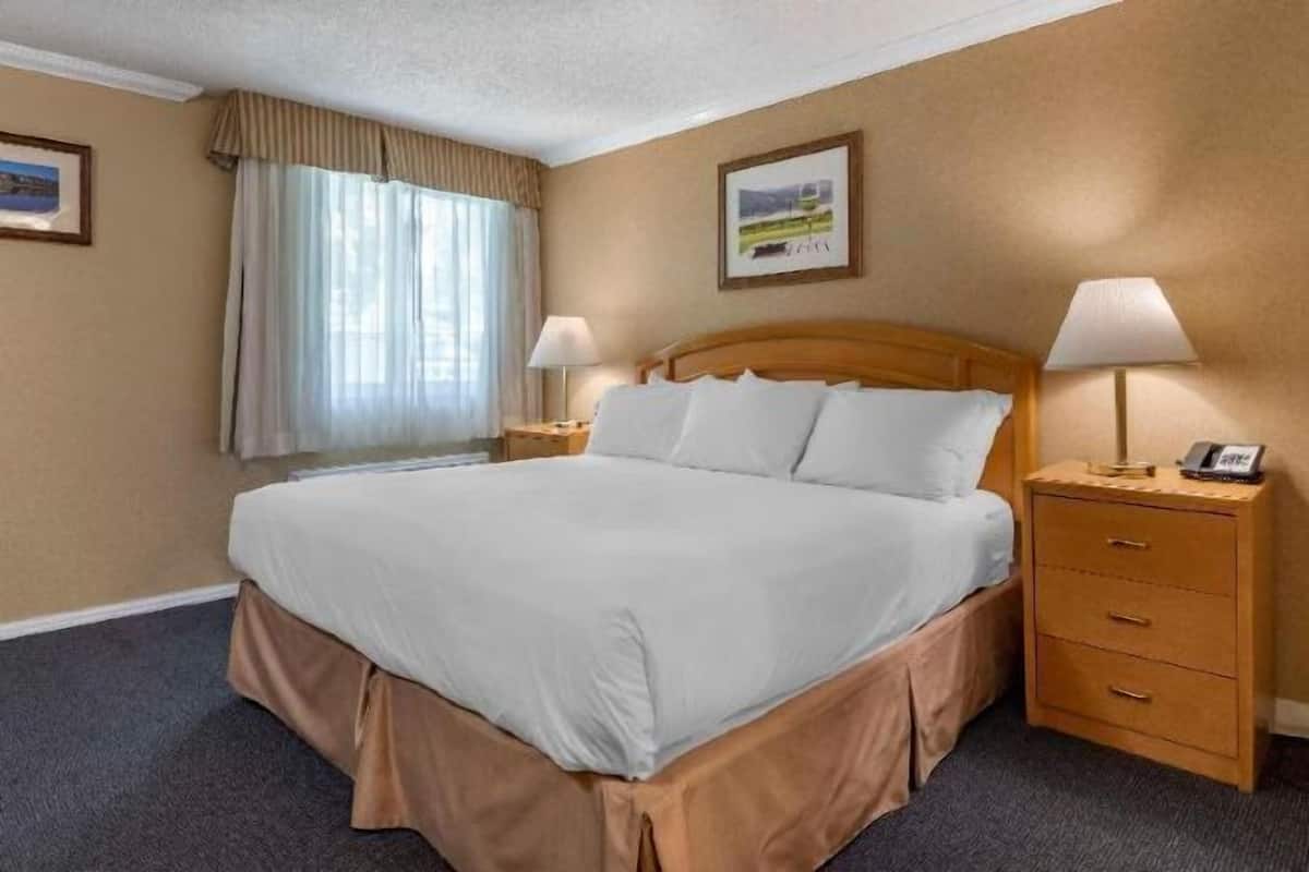 Blackout drapes, iron/ironing board, free WiFi, bed sheets