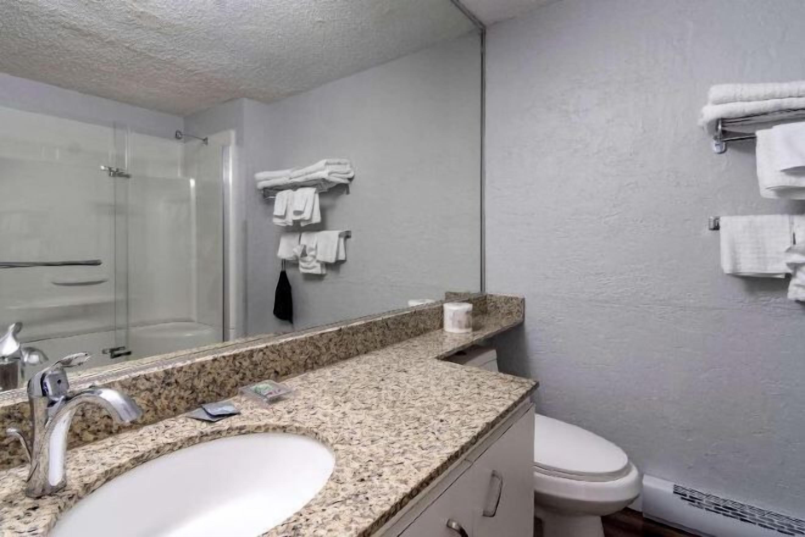 Bathroom | Combined shower/tub, free toiletries, hair dryer, towels