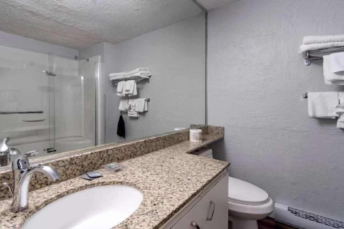 Bathroom | Combined shower/tub, free toiletries, hair dryer, towels