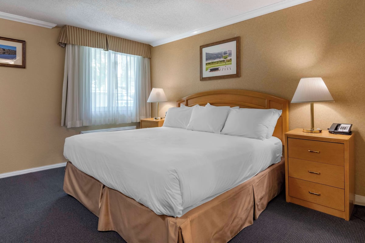 1 bedroom, blackout curtains, iron/ironing board, free WiFi