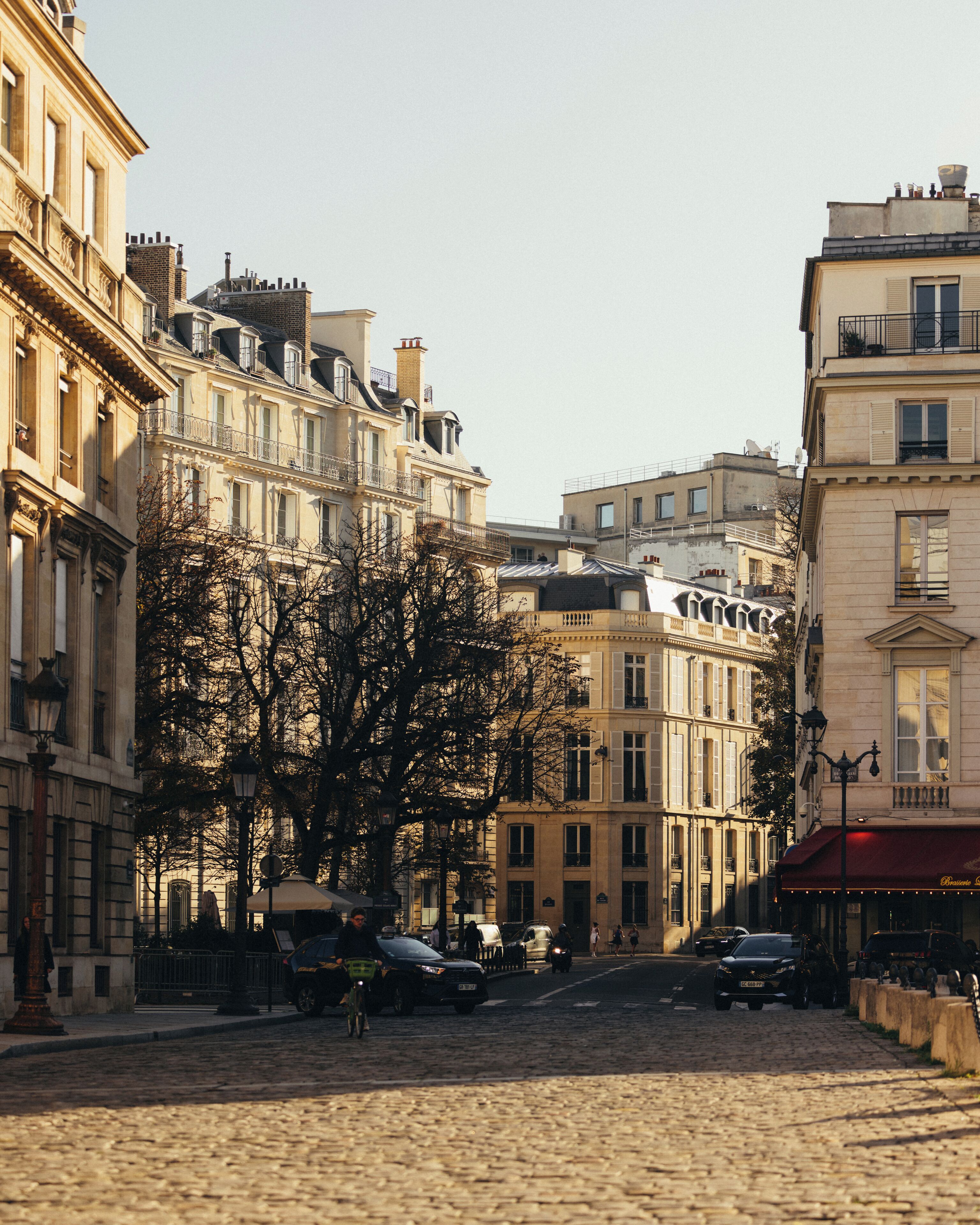 A cobblestone street lined with historic buildings, featuring a mix of architectural styles and a tree in the center.