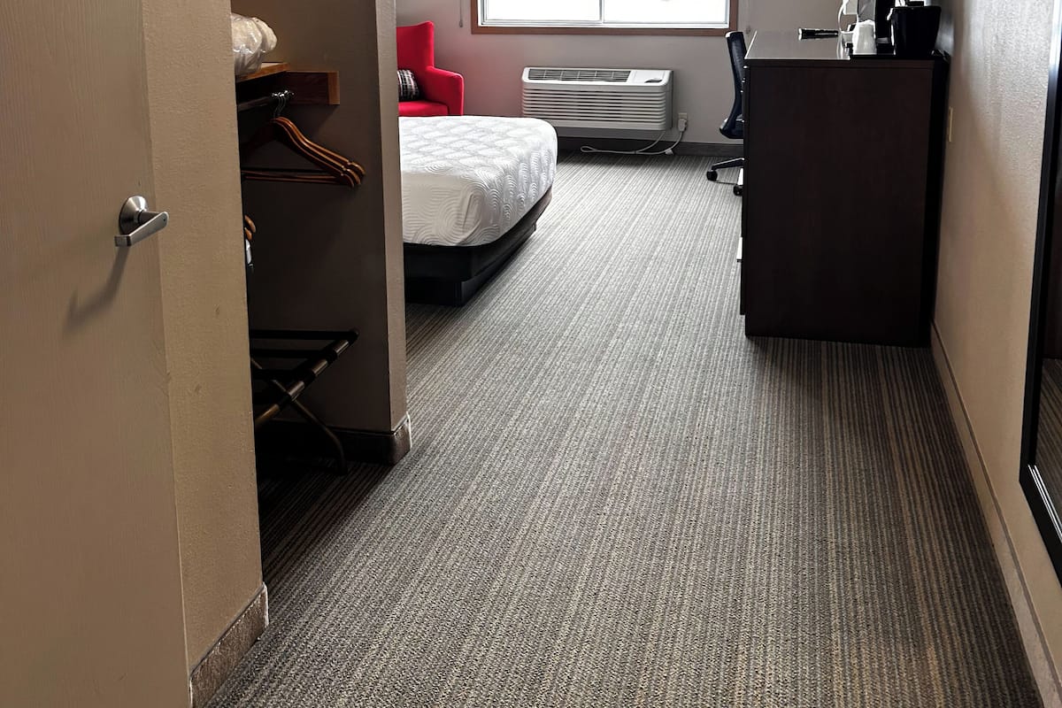 Room, 1 King Bed, Non Smoking | Hypo-allergenic bedding, desk, blackout drapes, iron/ironing board