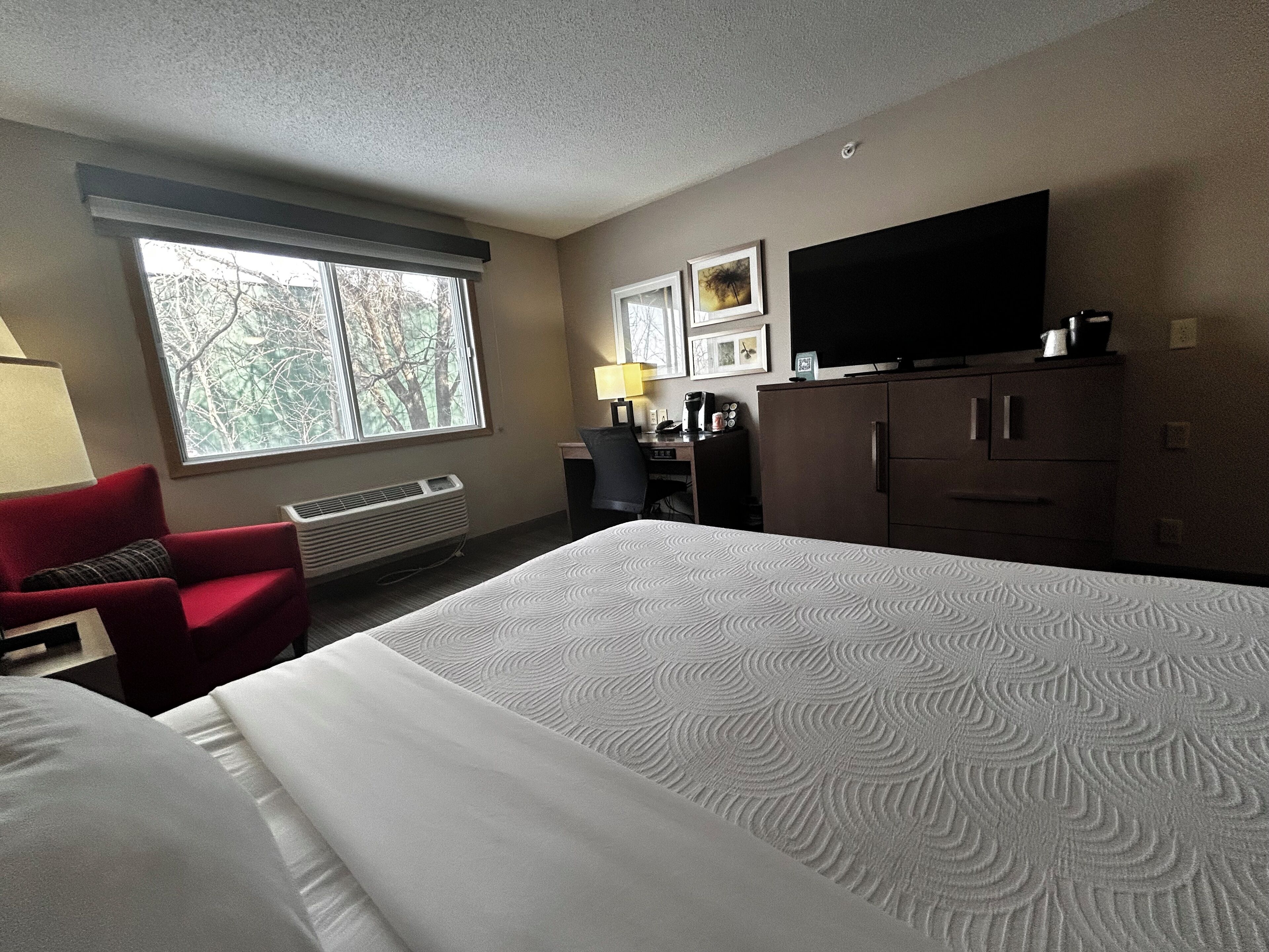 A hotel room with a large bed, a desk, a chair, a television, and a window with a view of trees.