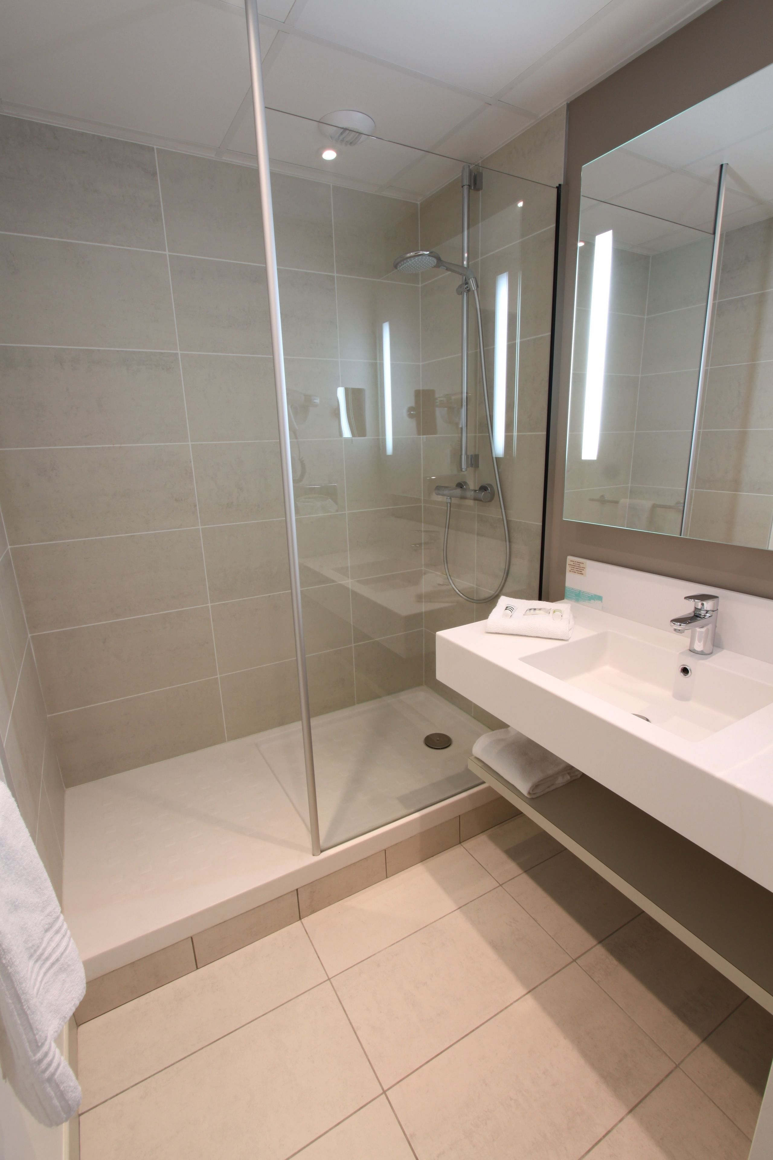 Eco-friendly toiletries, hair dryer, towels