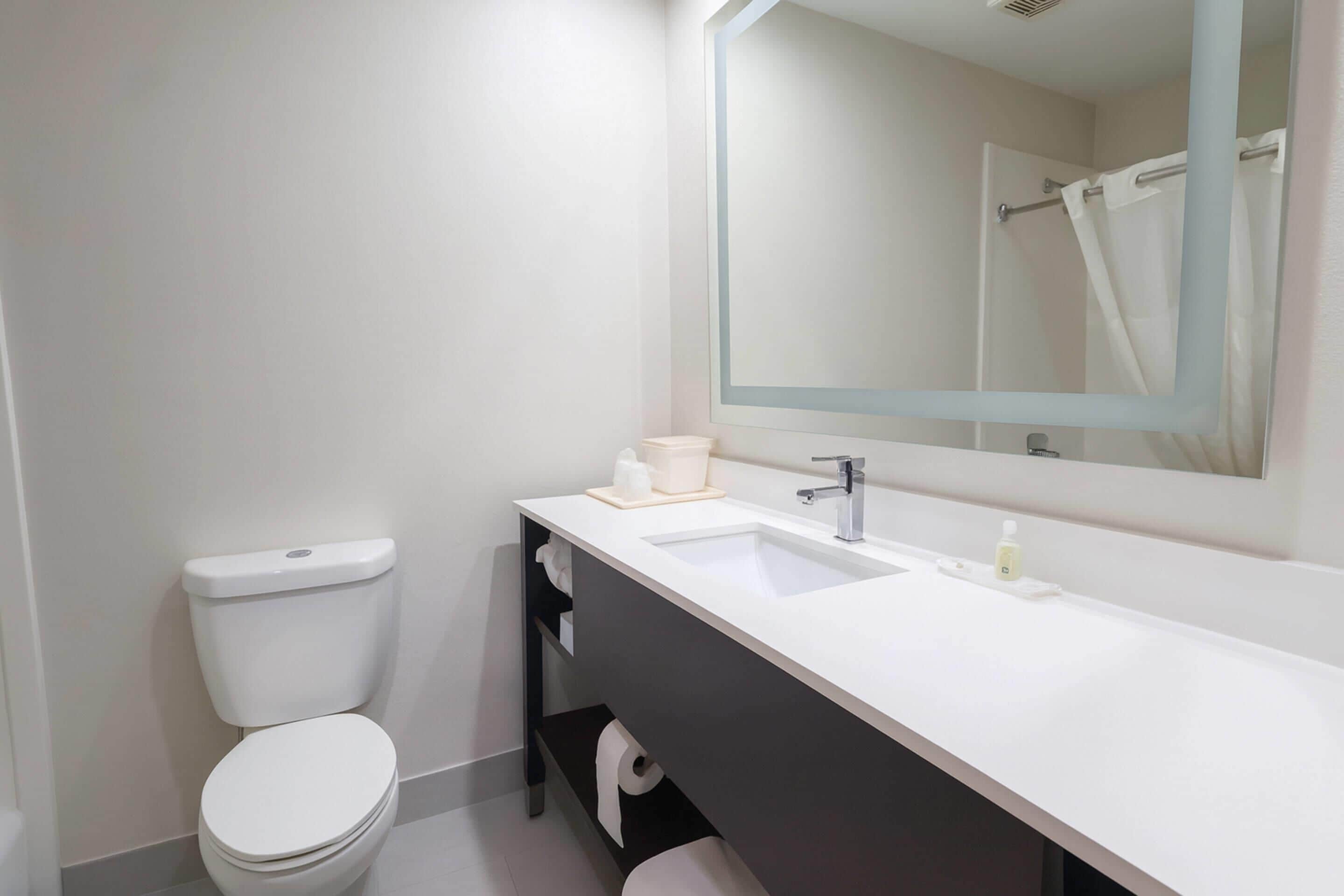 A modern bathroom with a white toilet, a sink, and a mirror above it.