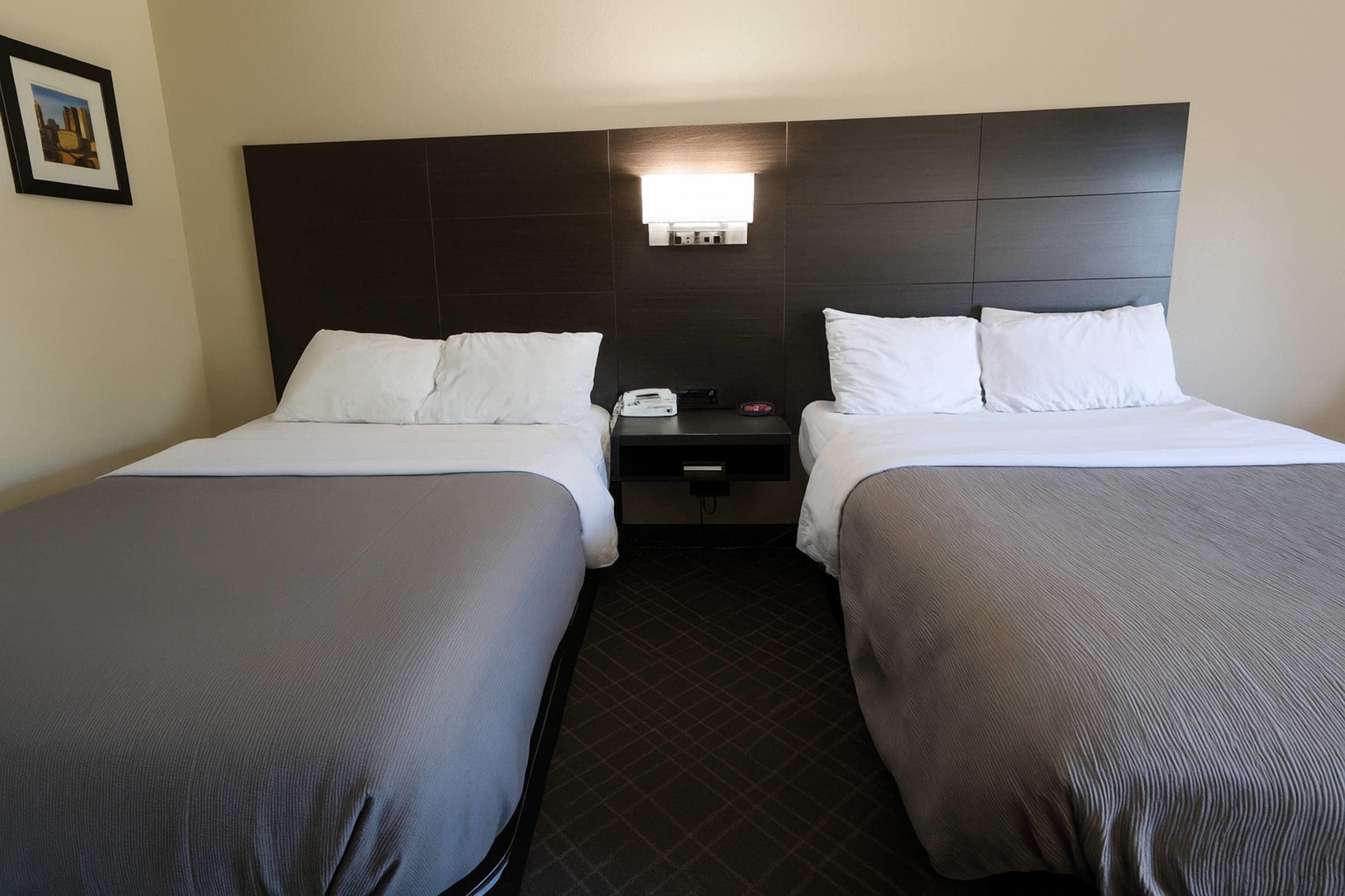 Quarto de hotel com duas camas de solteiro, mesa de cabeceira com telefone e abajur, e cabeceira escura.