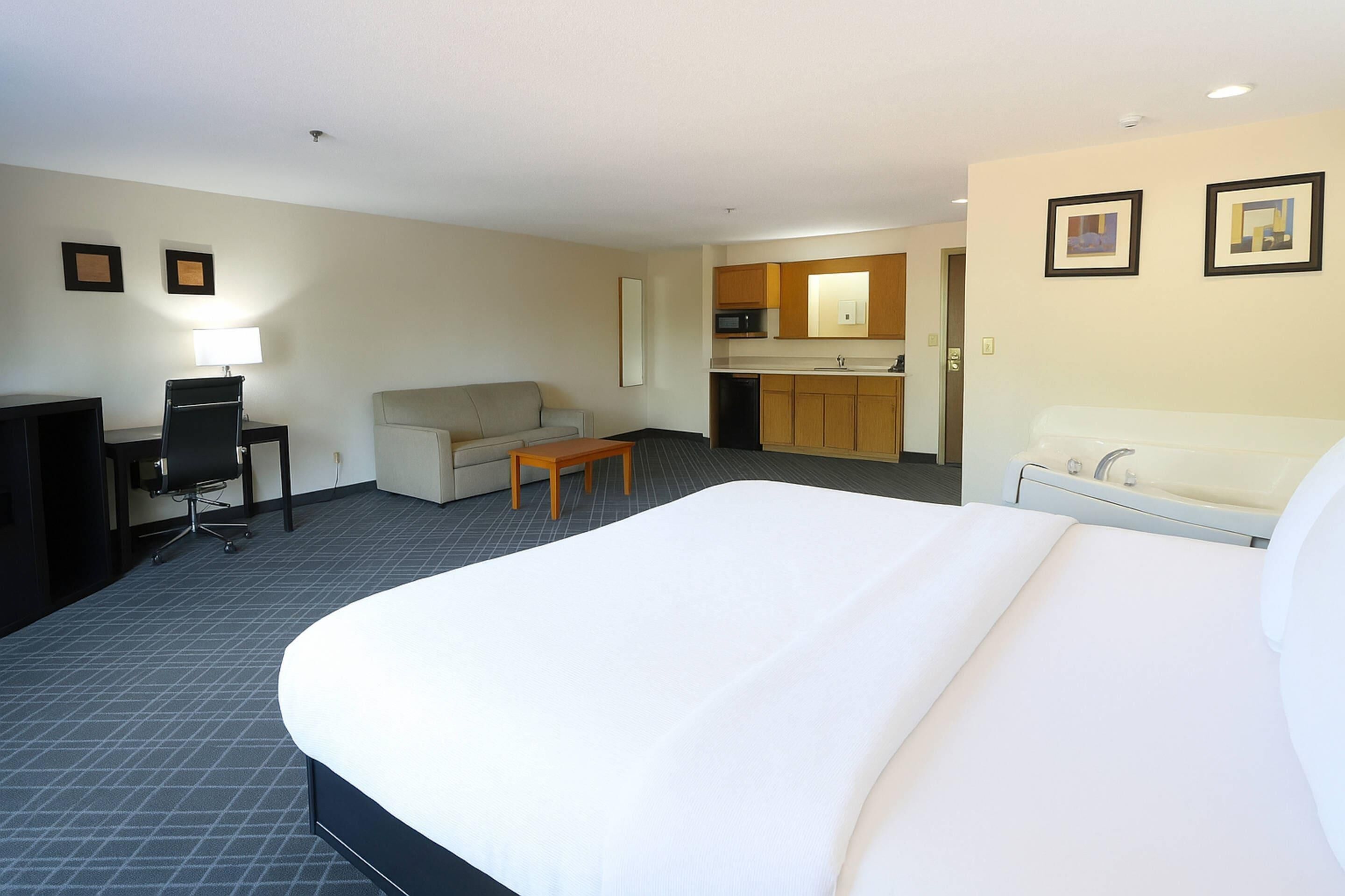 Habitación de hotel con cama, escritorio, silla, sofá, mesita pequeña, microondas, lavabo y armario.