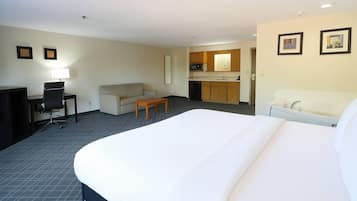 Habitación de hotel con cama, escritorio, silla, sofá, mesita pequeña, microondas, lavabo y armario.