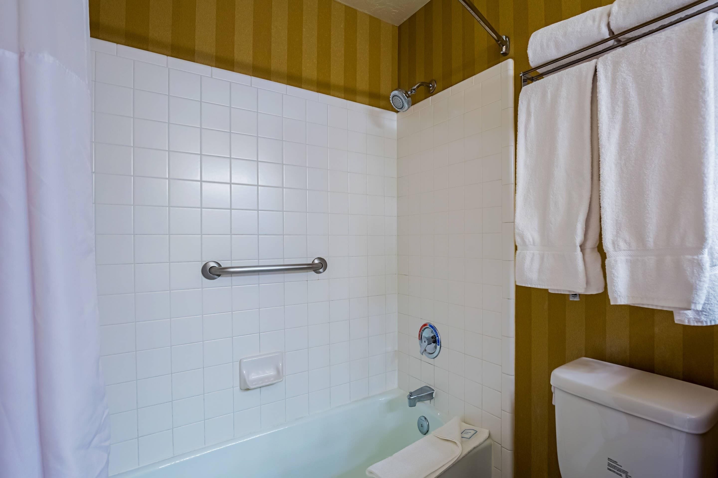 Een badkamer met een douche, toilet, wastafel en handdoekhouder.