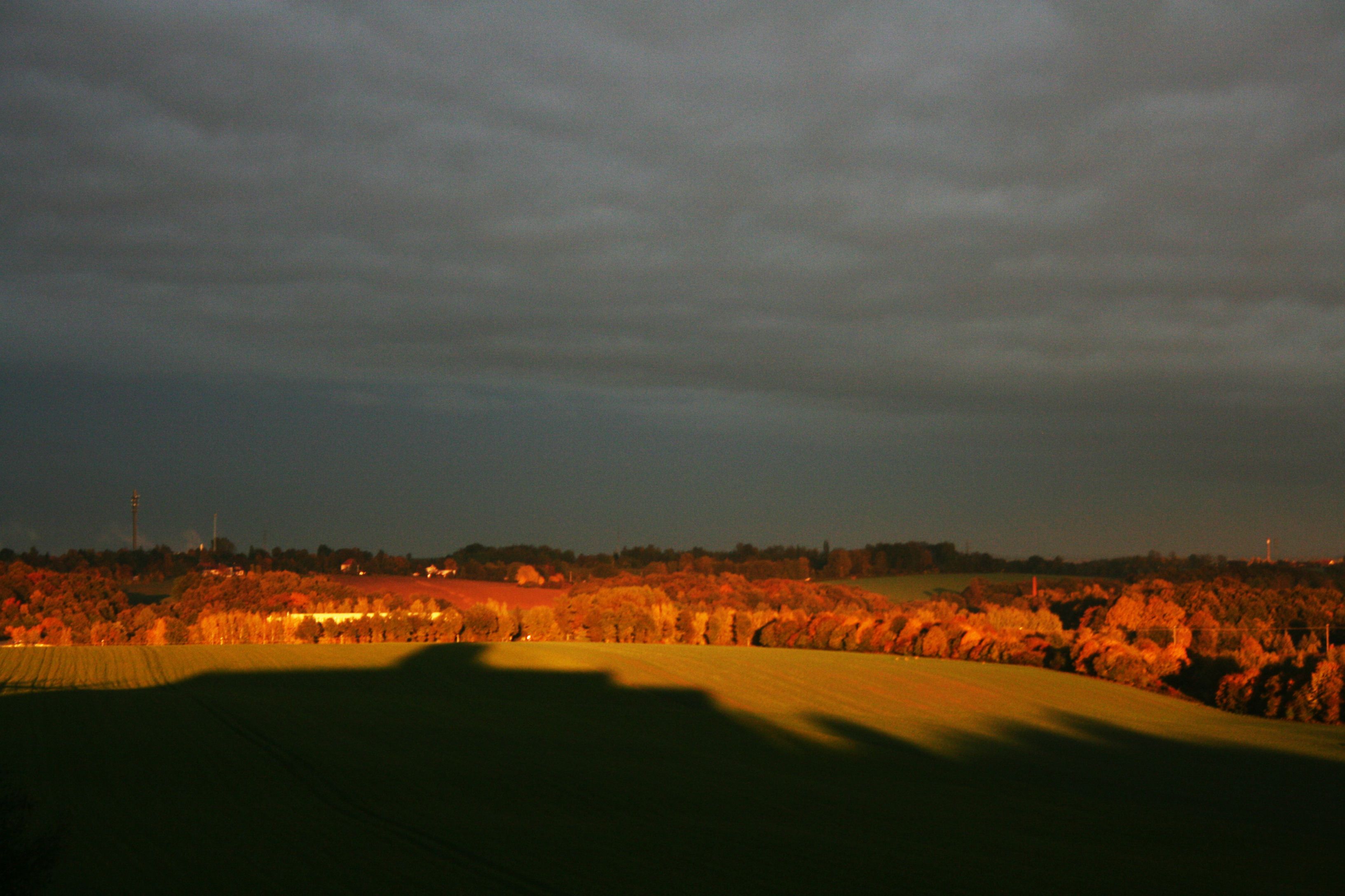 Eine Landschaft mit einem Feld, Bäumen und einem Gebäude in der Ferne.