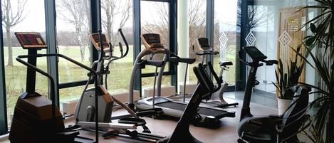 Un gimnasio moderno con varios equipos de ejercicio, ventanas amplias y plantas de interior.