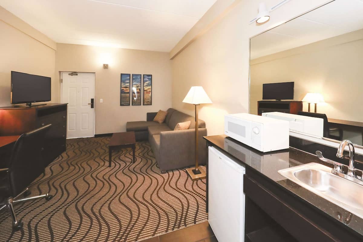 Suite, 1 King Bed with Sofa bed, Non Smoking (One-Bedroom, Separate Living Space)