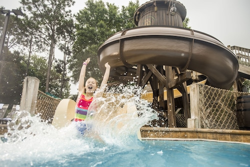 The Cabins at Disney's Fort Wilderness Resort