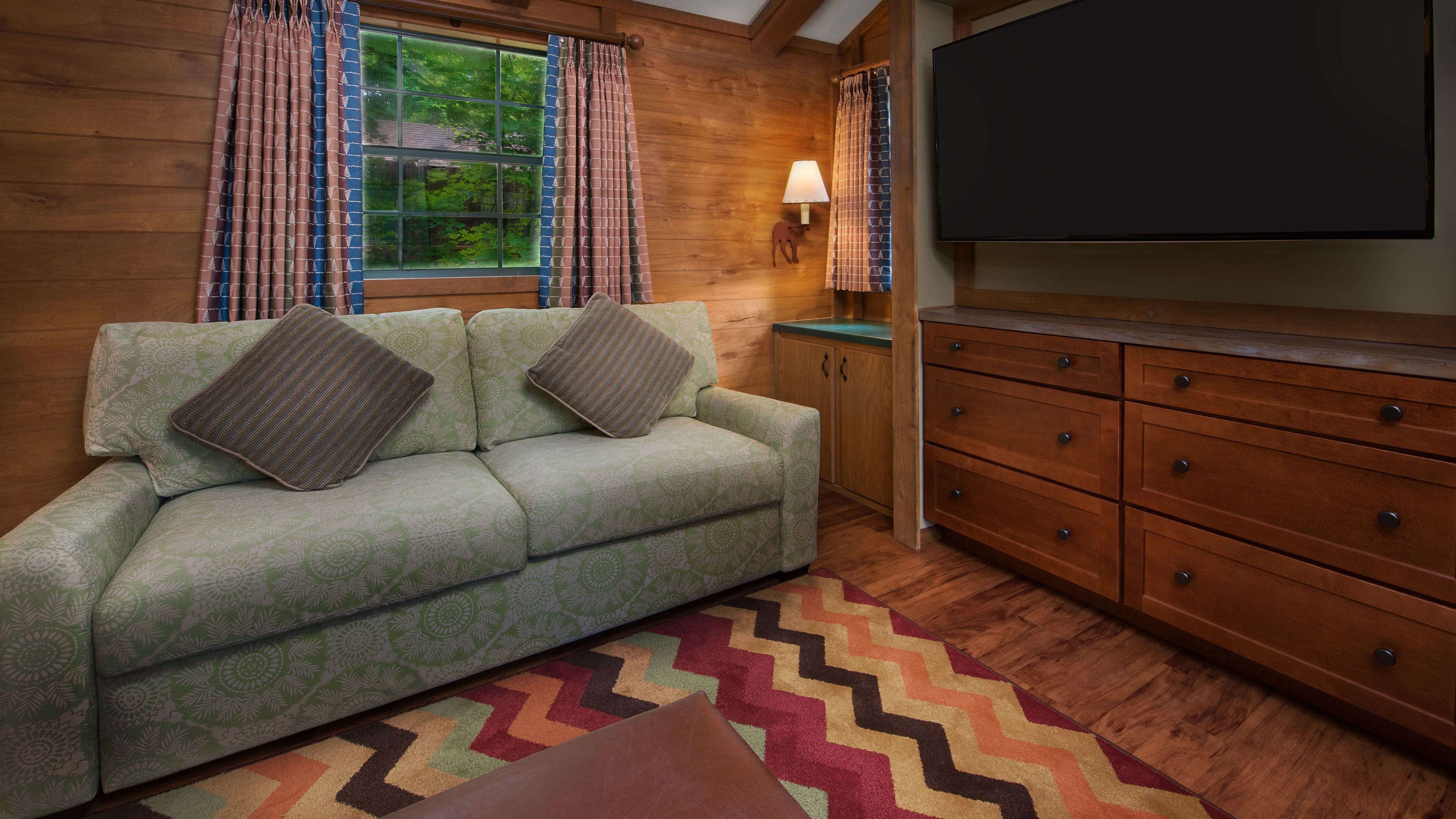 room (wilderness) | living room | tv, dvd player