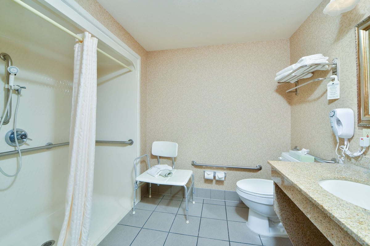 standard room, 1 king bed, accessible, non smoking | bathroom | combined shower/bathtub, free toiletries, hair dryer, towels