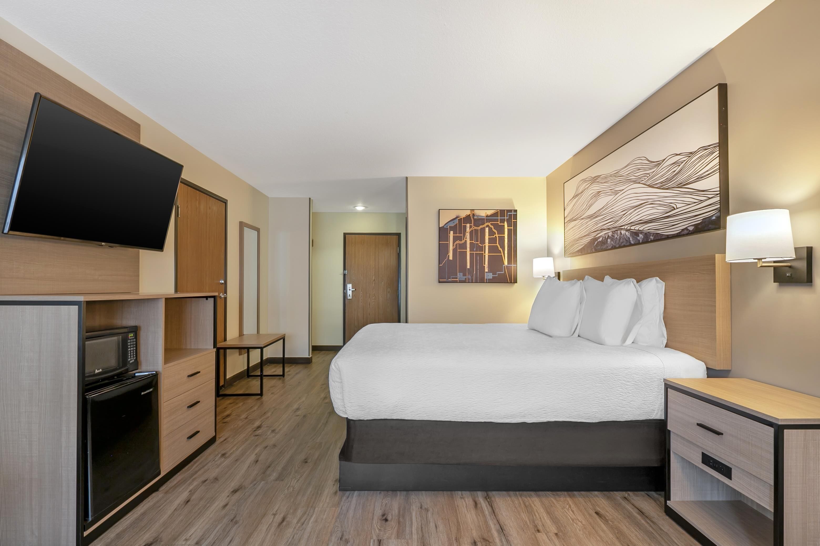 A hotel room with a bed, a flat-screen TV, a microwave, a desk, and a wall-mounted artwork.