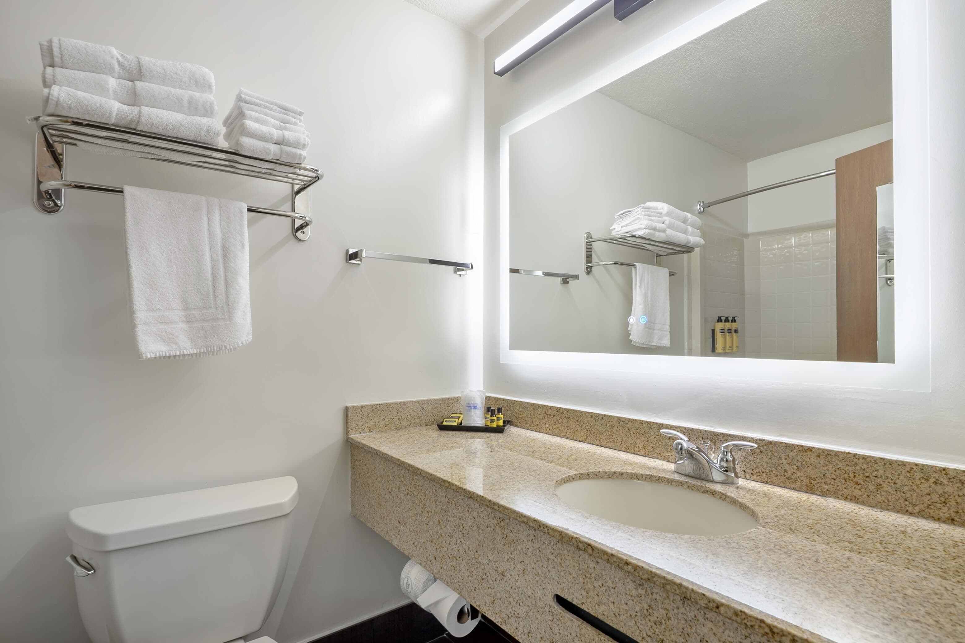 A bathroom with a toilet, sink, and towel rack.