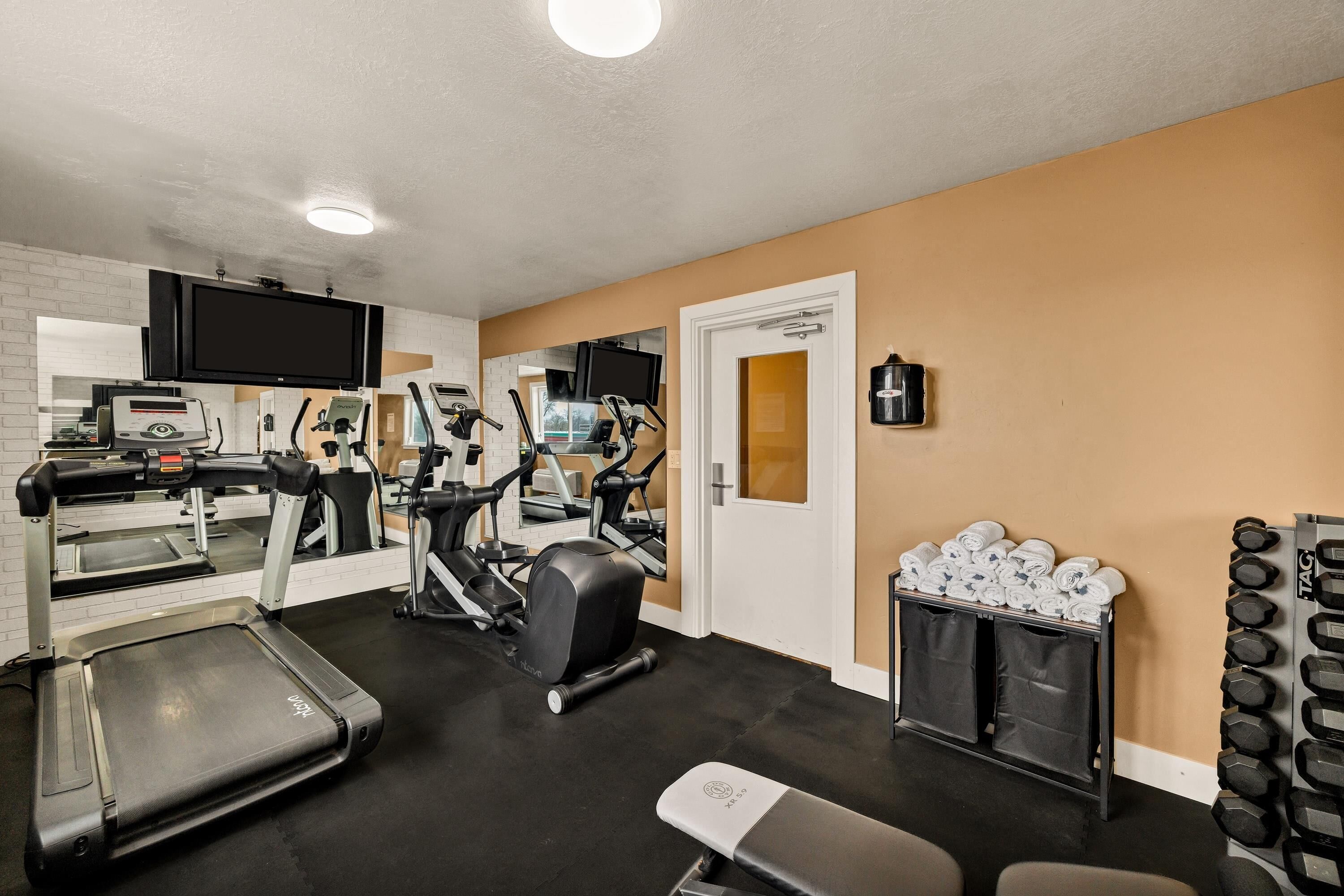 A gym with treadmills, elliptical machines, a bench, and a rack of dumbbells.
