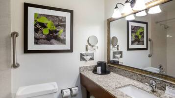 A bathroom with a granite countertop, a sink, a toilet, a framed picture of a plant, a mirror with lights, and a towel rack.