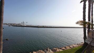 A coastal view with a calm sea, a rocky shoreline, and palm trees.
